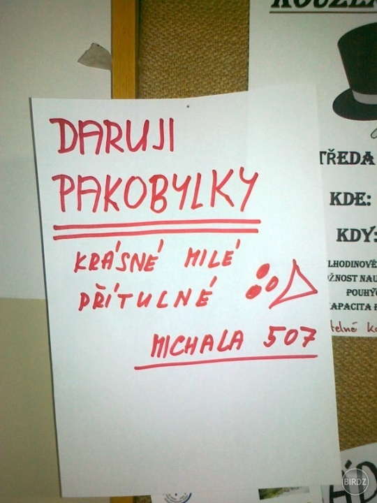 Pakobylky - krásné milé prítulné:D