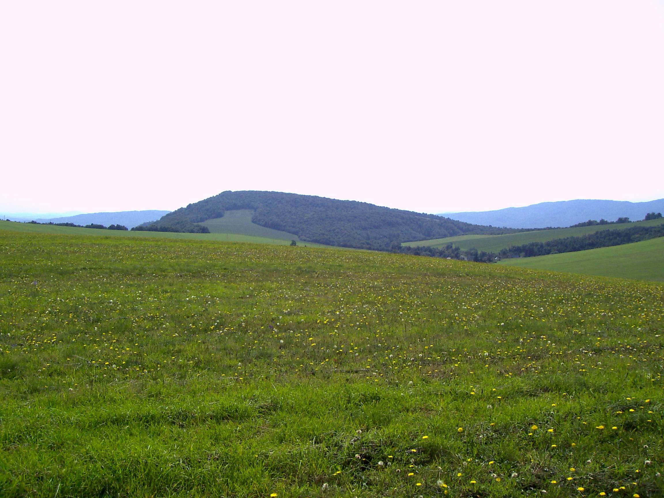 Obrázok