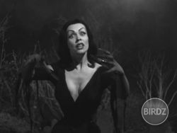 Maila Elizabeth Syrjäniemi- Vampira

Born : December 11, 1922(1922-12-11)
Died : January 10, 2008 (aged 85)


