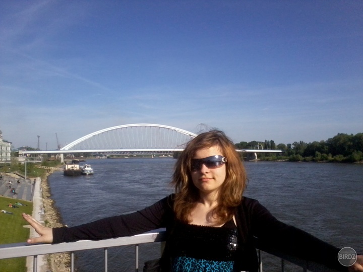 I´m the LADY BOSS