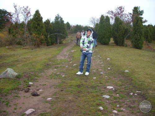 Obrázok
