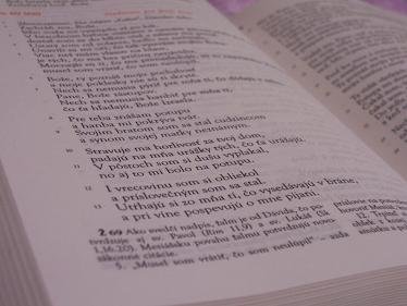 bible...
