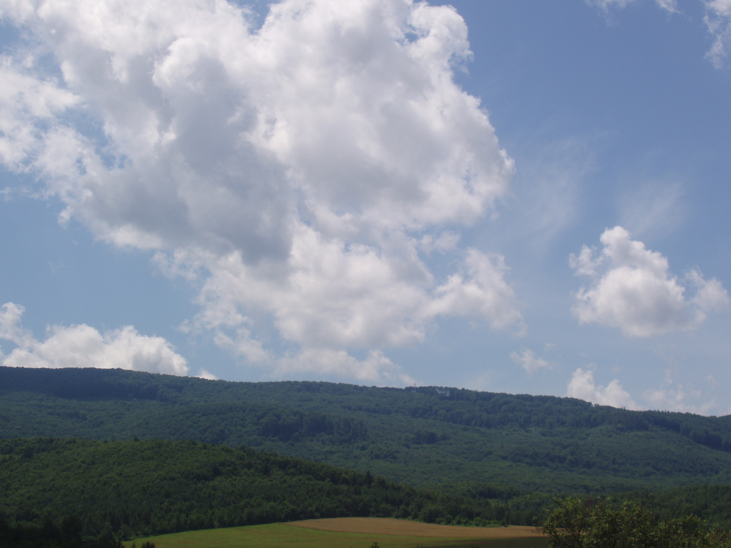 Obrázok