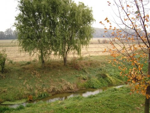 Obrázok