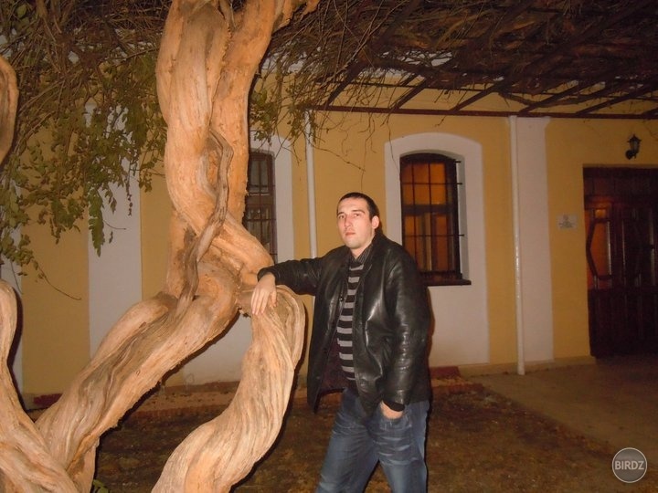 Obrázok