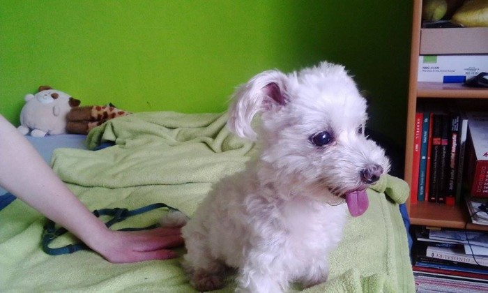 I miss you :(