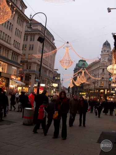 vylet vo Wien