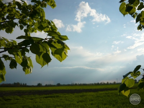 Obrázok