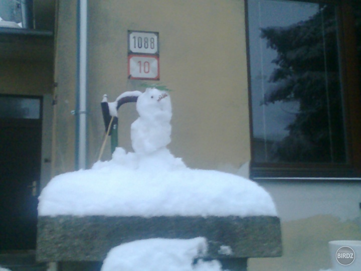 ahoj ja som karol!som stavala min týždeň.)