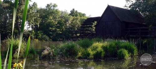 Obrázok