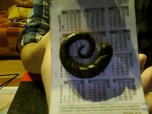 Fimo :D