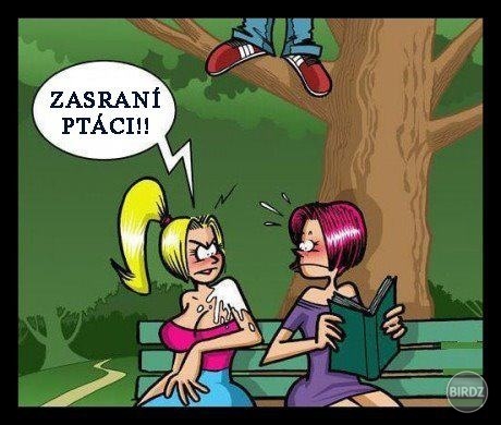 Obrázok