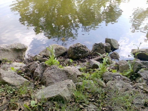 Obrázok