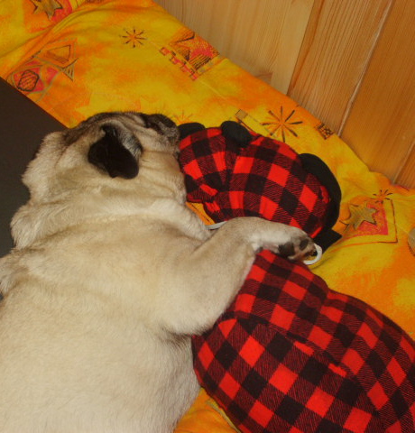 siesta