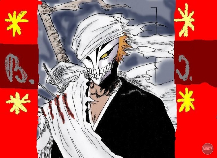 Bleach-bleach-anime-1393296-770-560