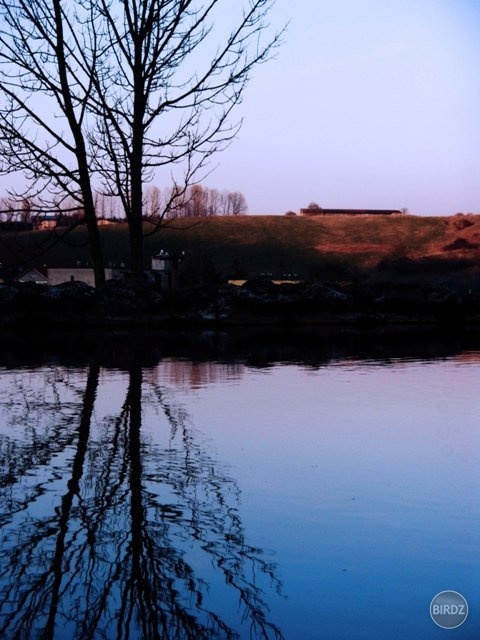 Obrázok