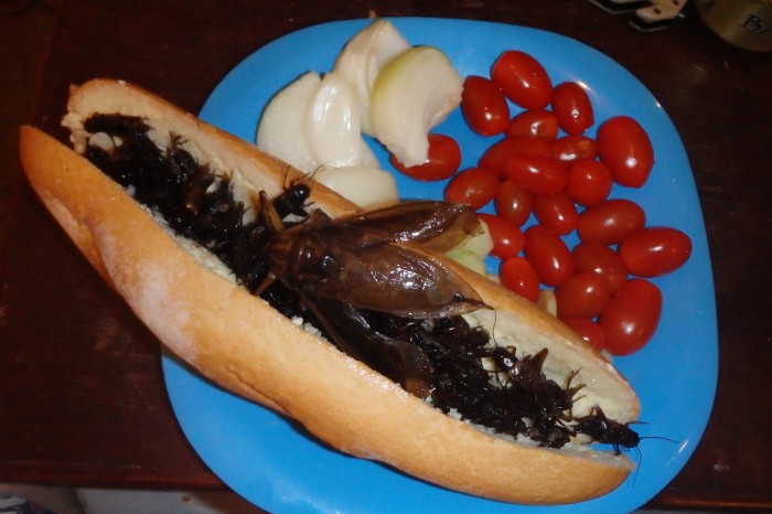 Ked uz tak ficia tie fotky s jedlom....tak vam dam aj ja jednu. Dobru chut vam prajem z Kambodze ;)