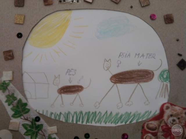 Psia mater. 