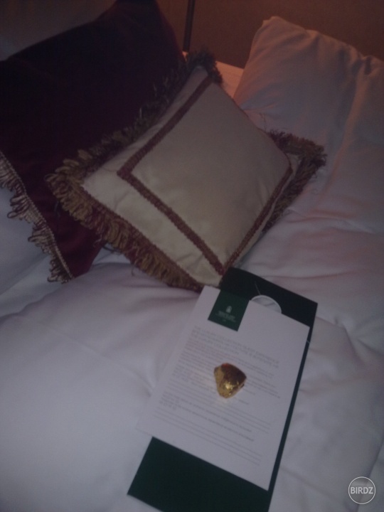 pekny hotelik to bol