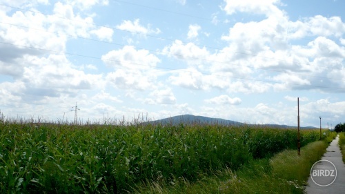 smolenice