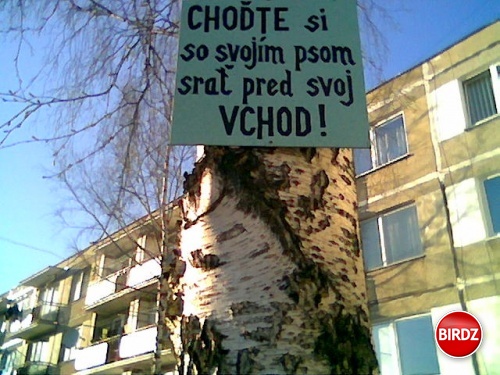 Tak toto pri nasej bytovke ktosik pribil na strom :D:D:D haluzak :D