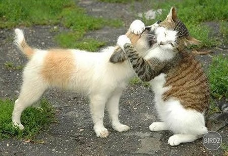 Best Friends Forever:D