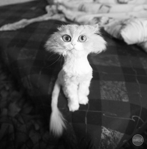 O_O