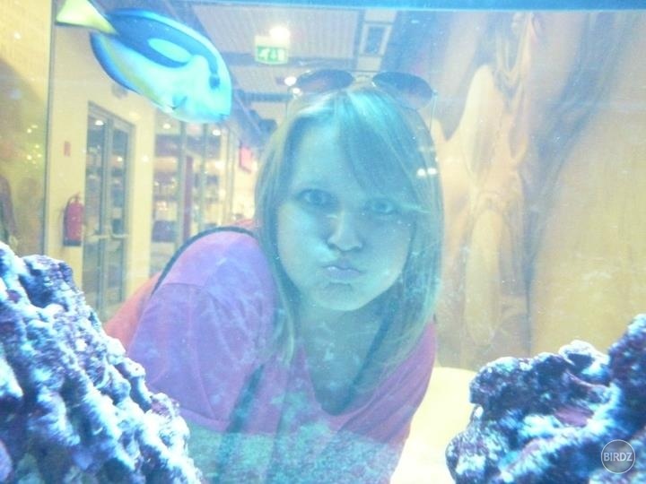 In the sea with Nemo... :)