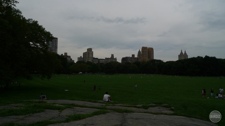 Central park.