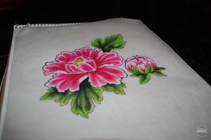 Lotus