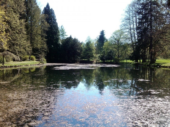 Bývala botanická záhrada Turčianska Šťiavnička ... Krásne ale čím daľej viac zdevastované ... 