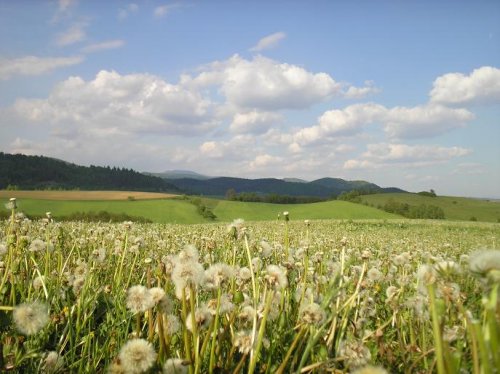 .. moje obľúbené miesto v lete ..