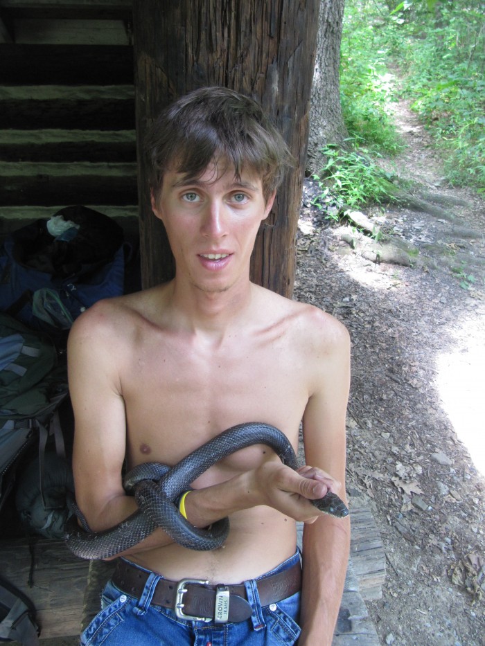 Obrázok