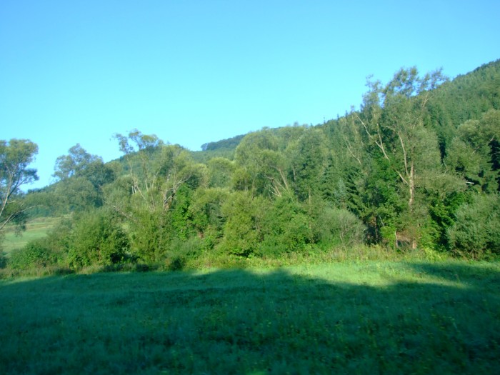 Obrázok