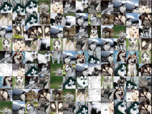 husky