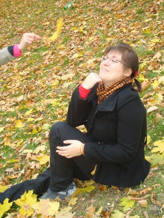 Obrázok