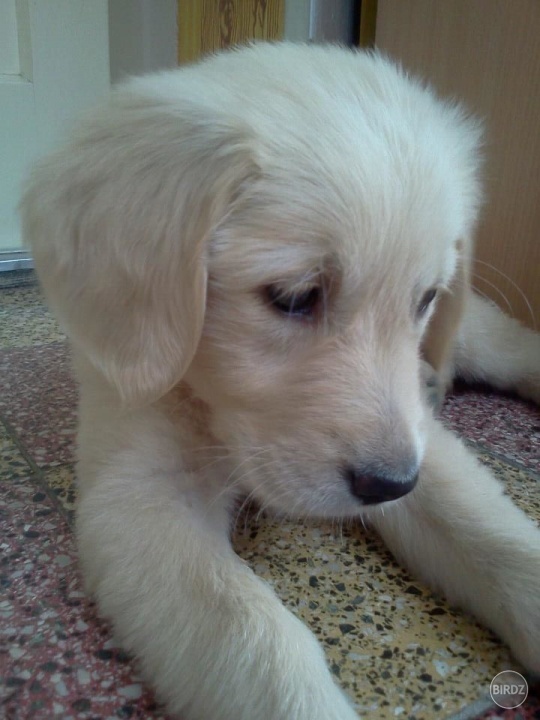 my little love...when she was little...