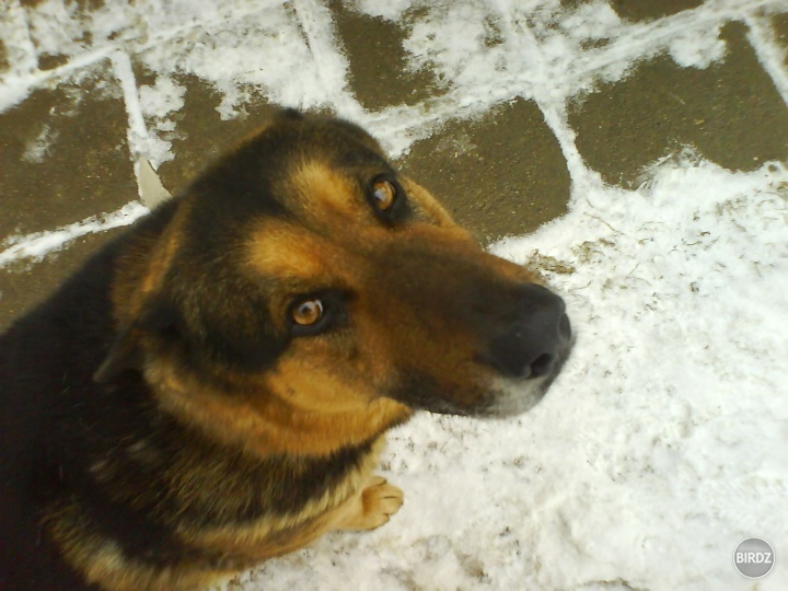 Cutieeeeee!!!! :333