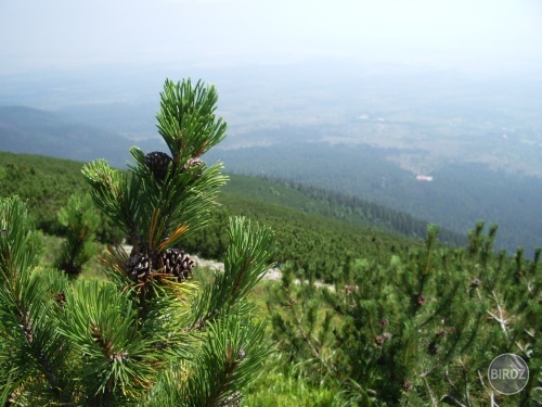 Obrázok