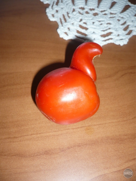 Černobyľská paradajočka alebo kačičkaaa :D