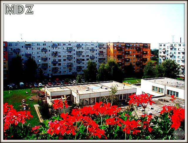 Obrázok