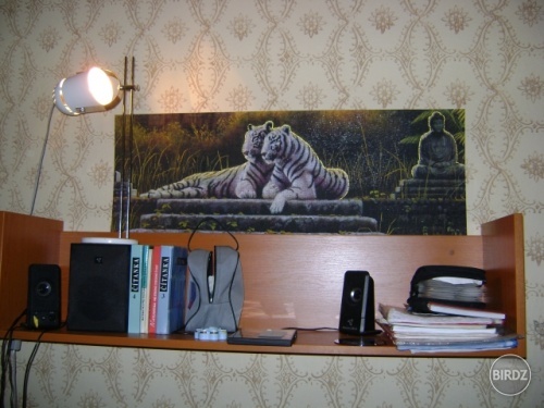 pekne puzzle i ked z kamoškou sme ich skladali 3 mesiace