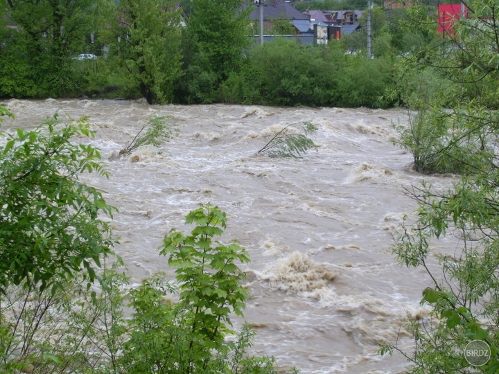 Obrázok