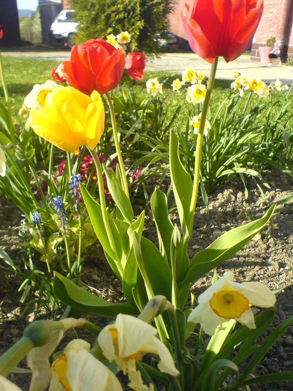  a zase =)