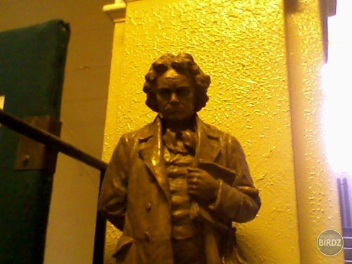 Beethoven 4ewer
