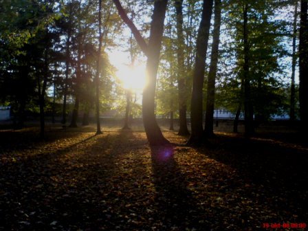 there will always be a light