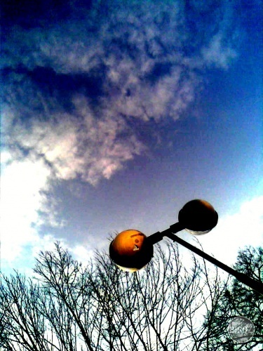 BY DEE
