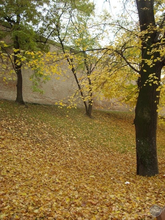 Obrázok