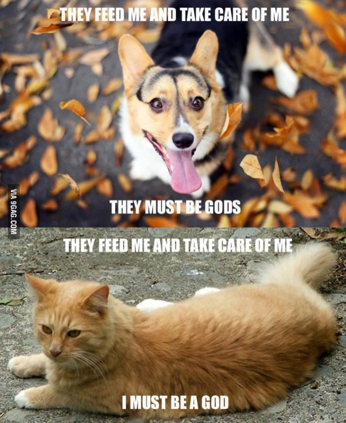 :D:D:D