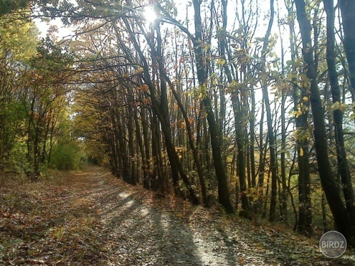 na borine:)